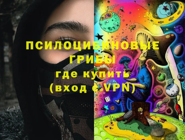 2c-b Белокуриха