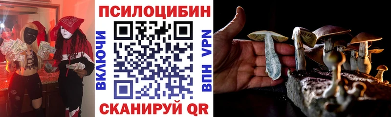 Псилоцибиновые грибы мицелий  Теберда 